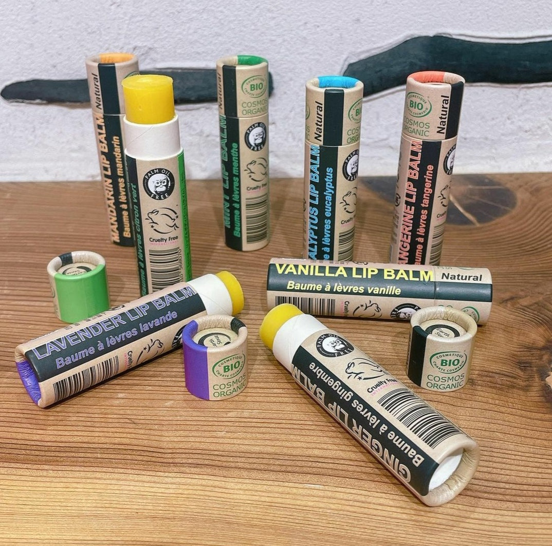 Eucalyptus Lip Balm - 1 piece - 100% paper packaging-3